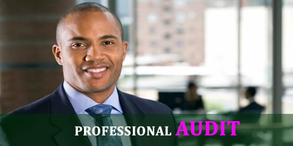Professional audit and assurance work